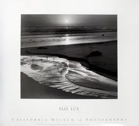 Birds on a Beach, Evening-1966 by Ansel Adams