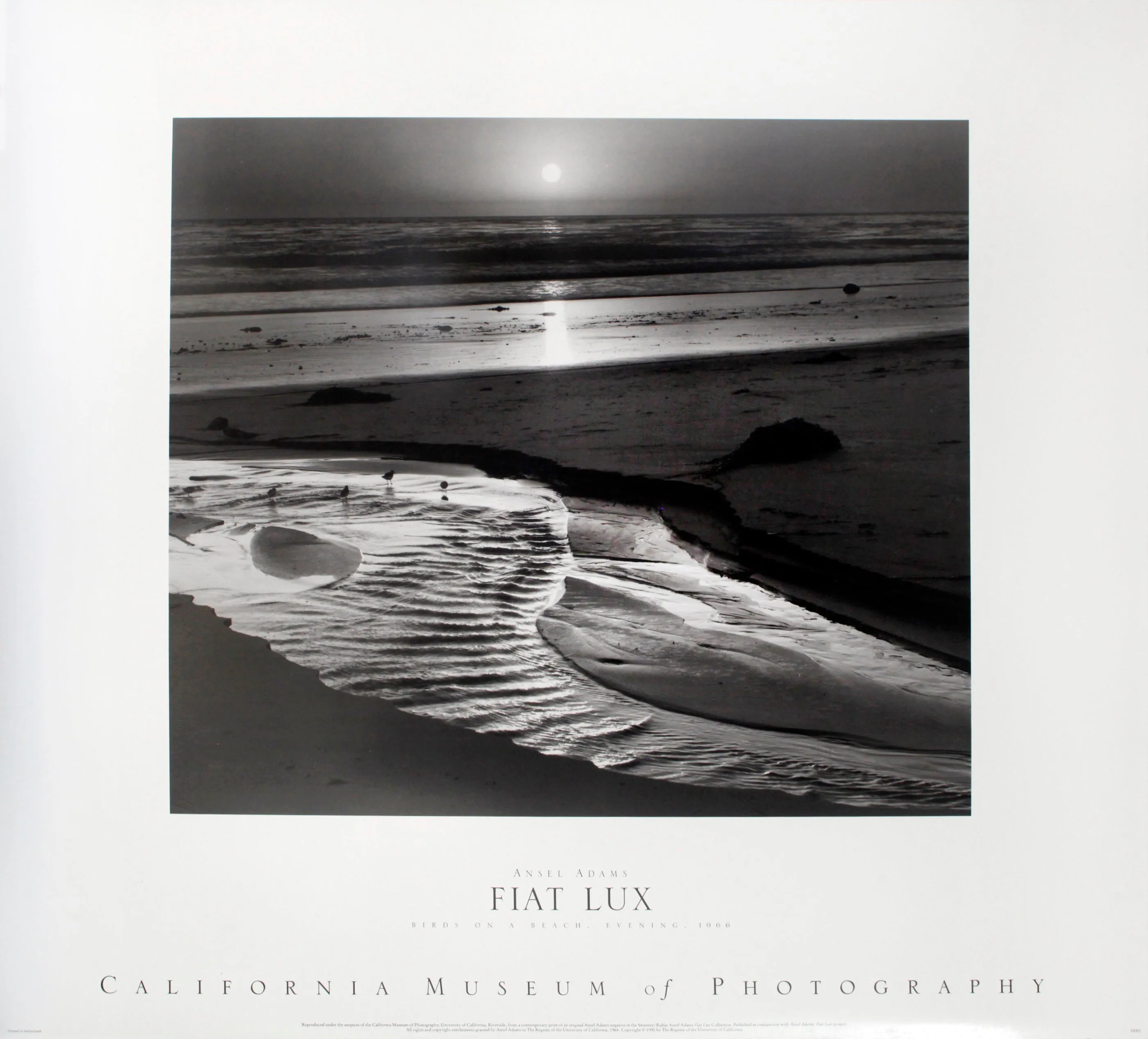 Birds on a Beach, Evening-1966 by Ansel Adams