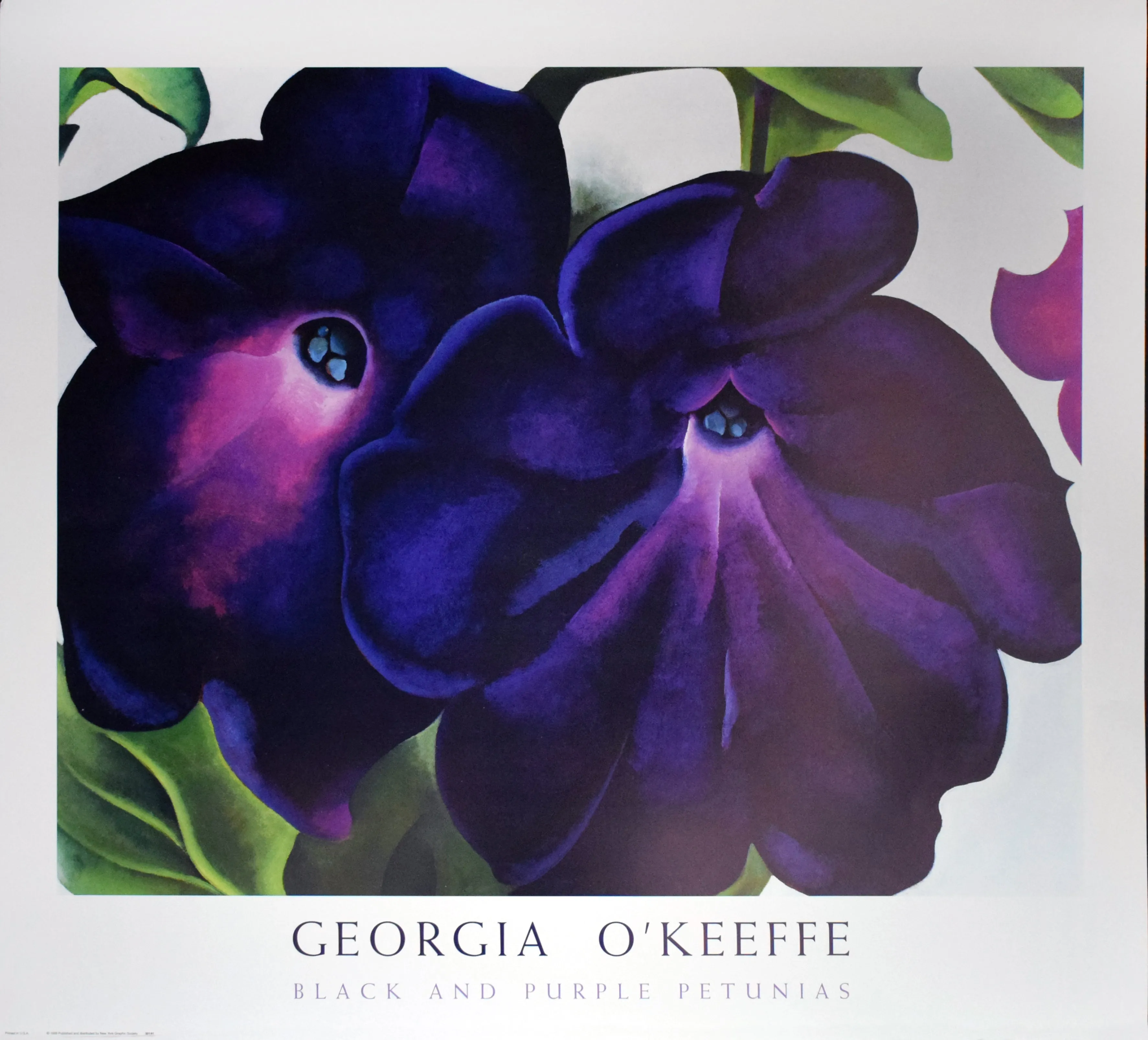 Black and Purple Petunias by Georgia O'Keeffe