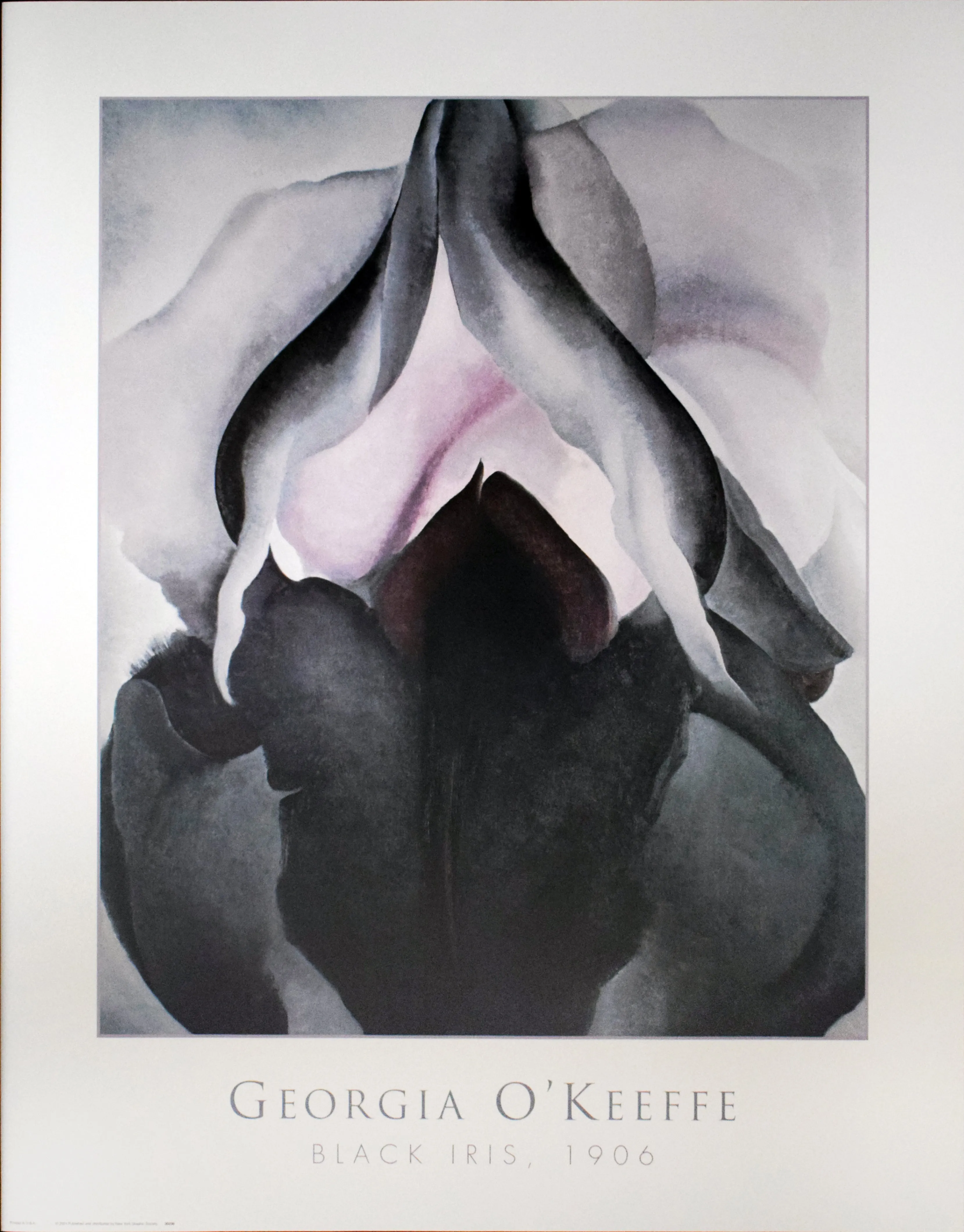 Black Iris by Georgia O'Keeffe