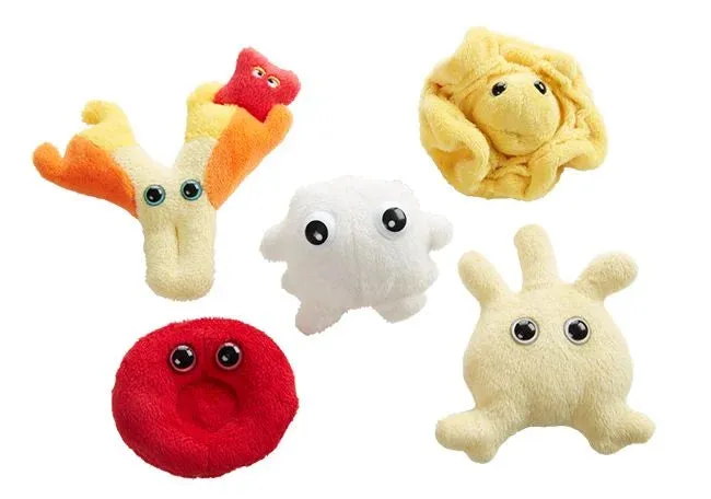 Blood Cells
