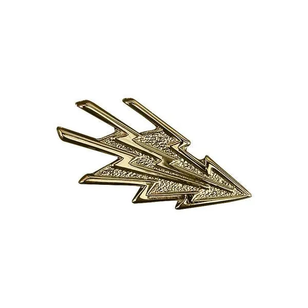 Collar Device: Information Systems Technician - gold