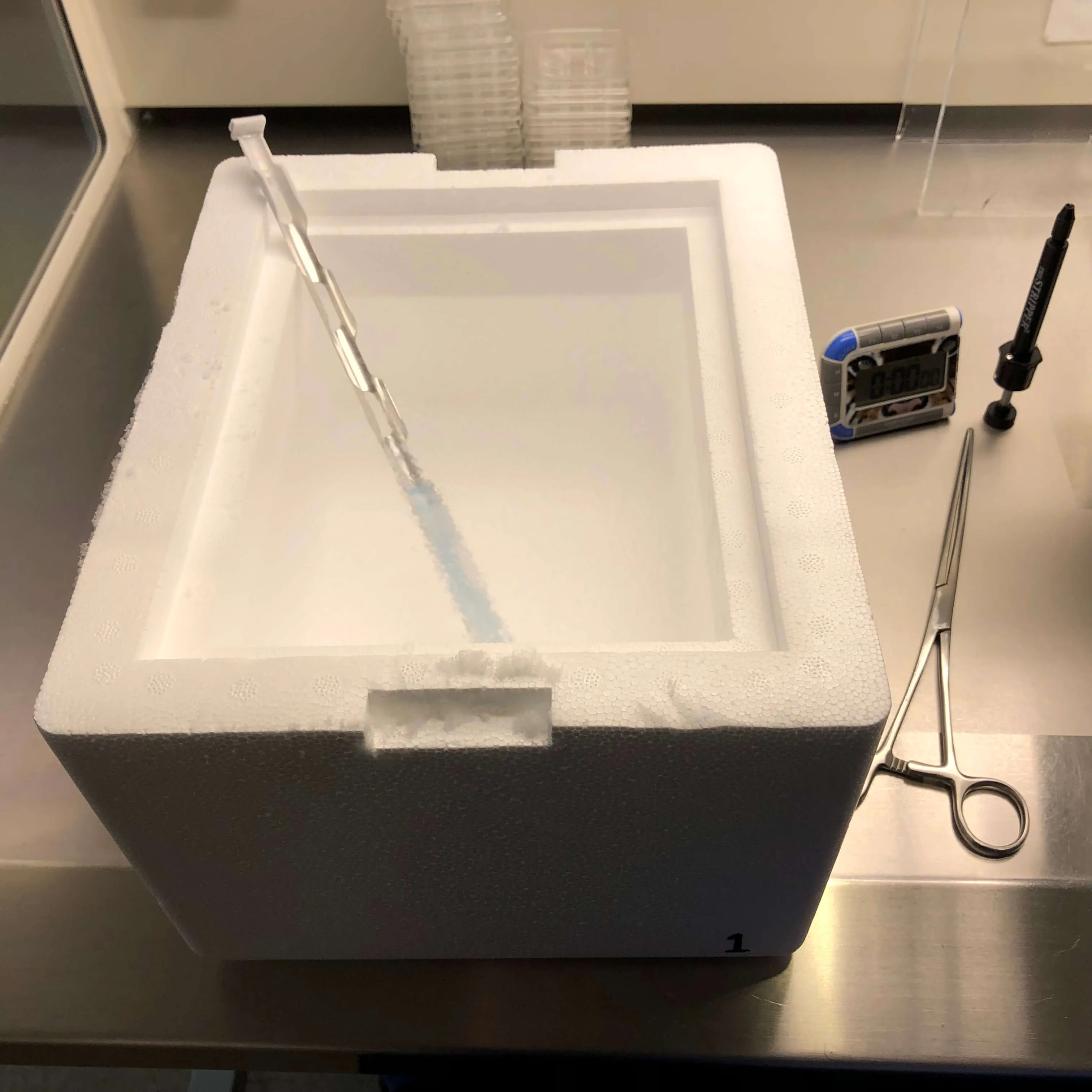 Insulated Foam Shipping Container / Vitrification Box - 8 x 6 x 7, 1-1/2" wall