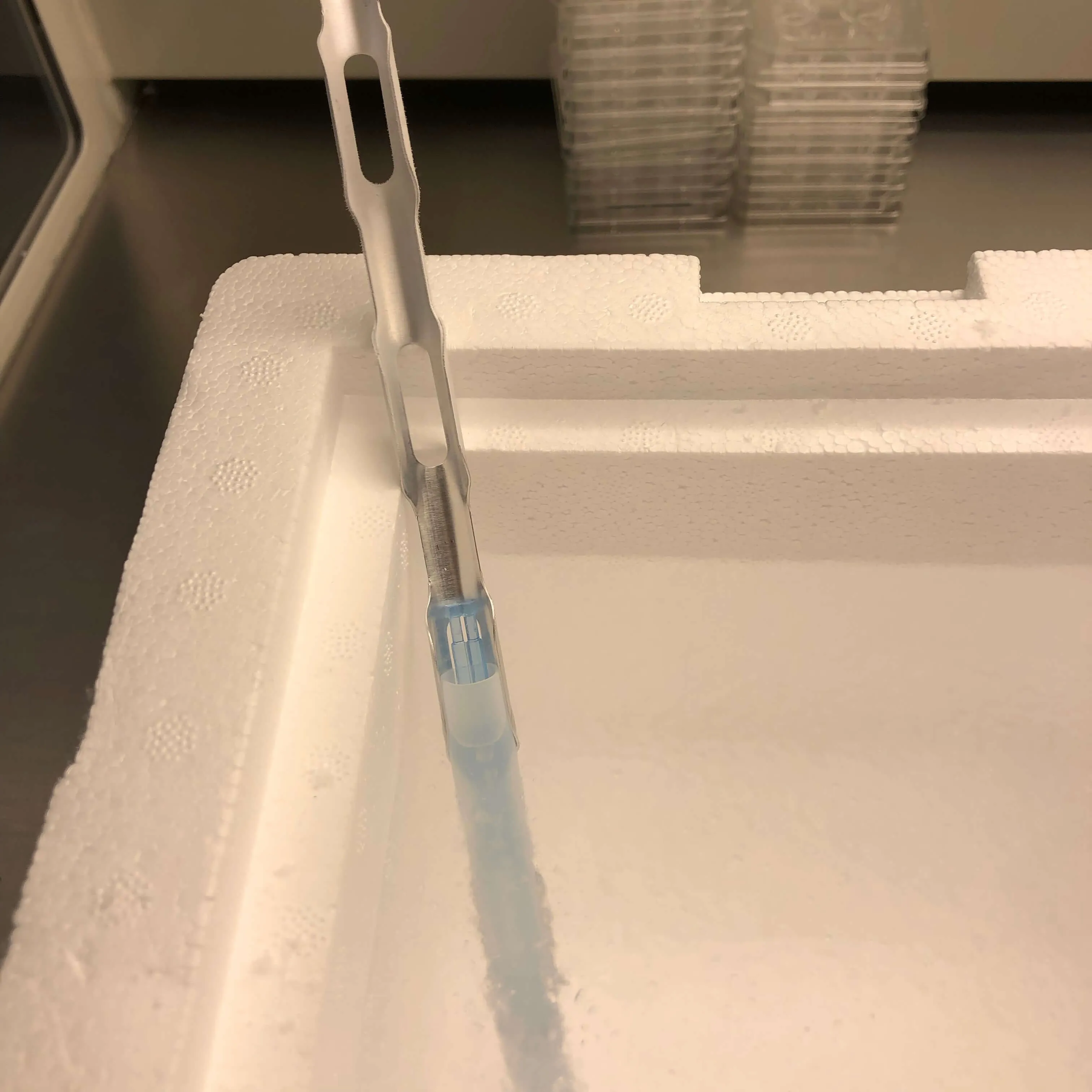 Insulated Foam Shipping Container / Vitrification Box - 8 x 6 x 7, 1-1/2" wall