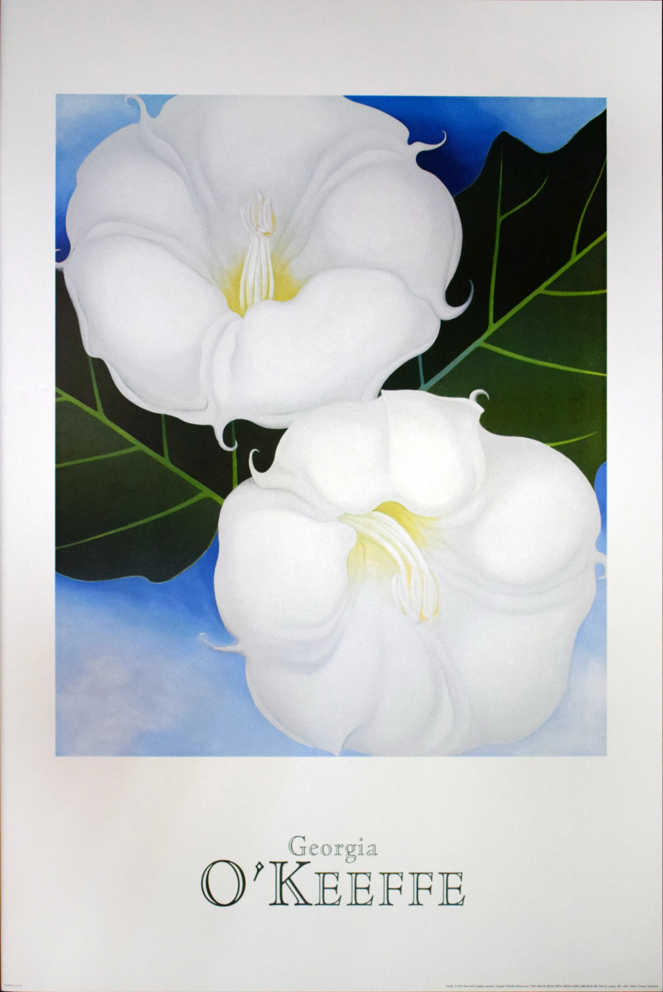 Two Jimsom Weeds with Green Leaves and Blue Sky by Georgia O'Keeffe