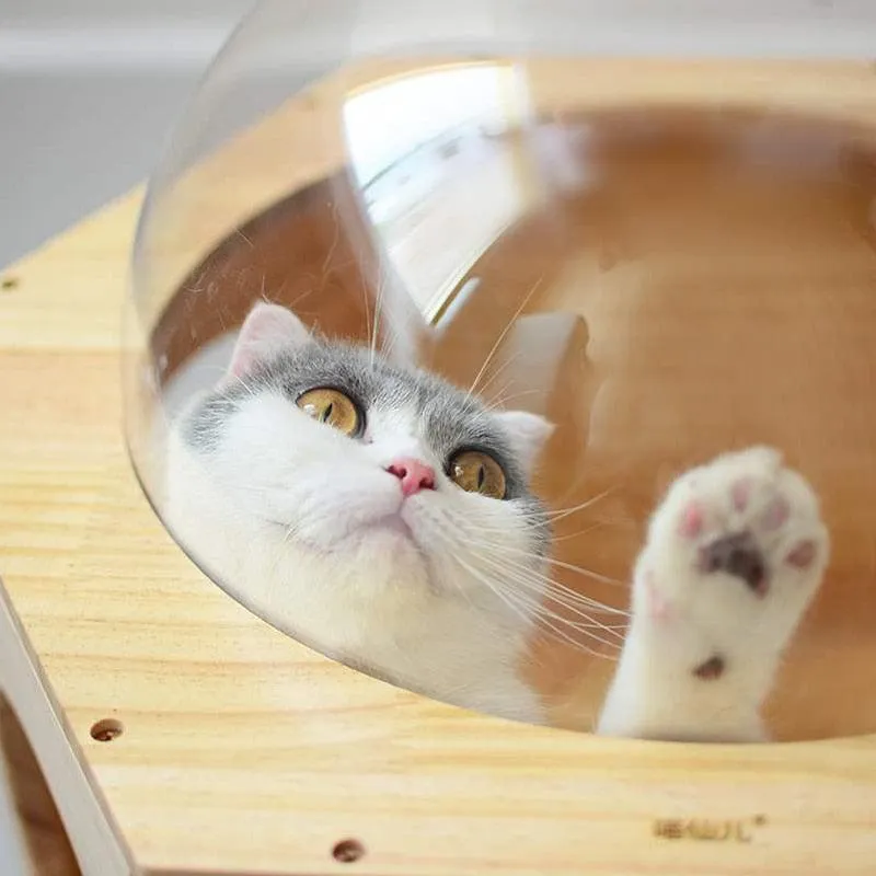 Wall-mounted Cat Climbing Frame
