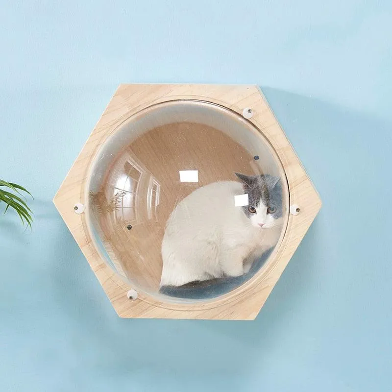 Wall-mounted Cat Climbing Frame