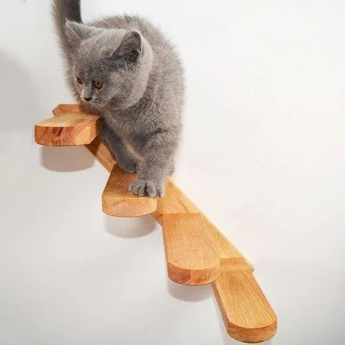 Wall-mounted Cat Climbing Wooden Stairs