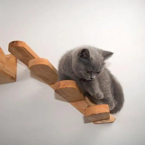 Wall-mounted Cat Climbing Wooden Stairs