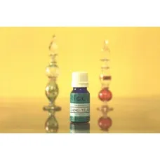 Ylang Ylang Essential Oil